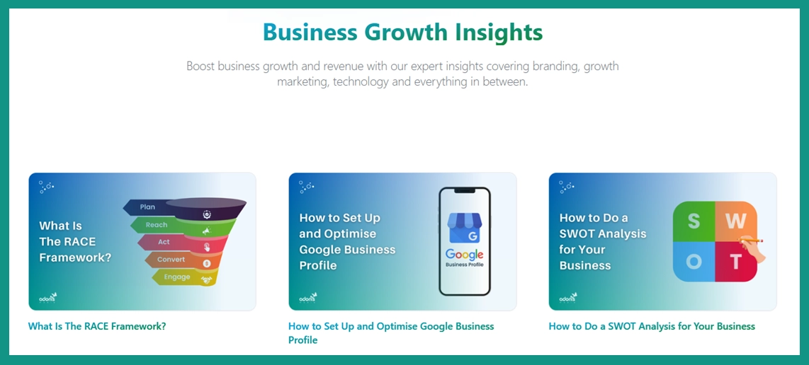 Boderia Insights page