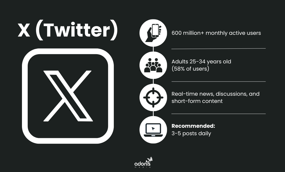 X (Twitter): number of users, type of audience, platform's focus, and posting frequency